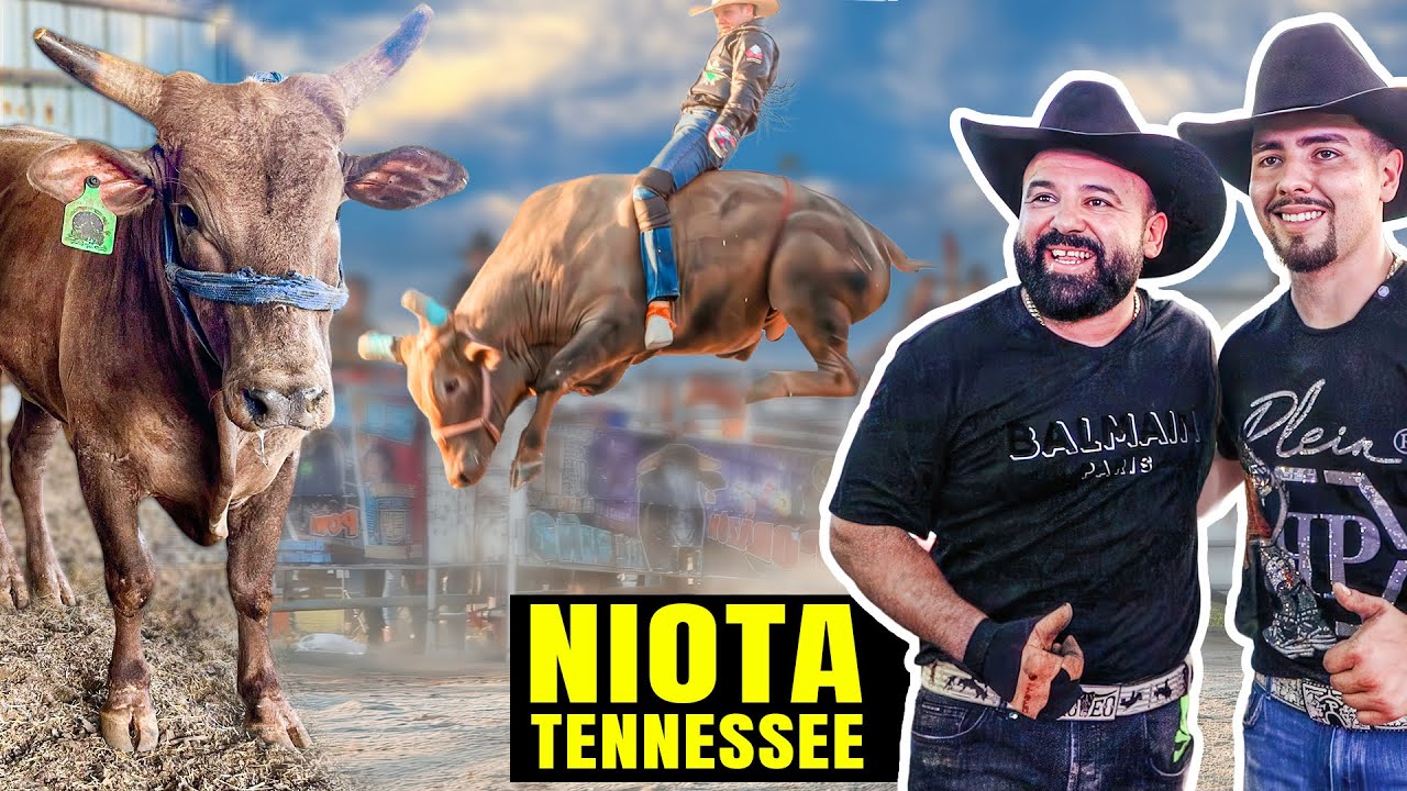 SÚPER ESPECTACULAR y CONTUNDENTE EL NUEVO TORO // Rancho El Aguaje Niota Tennessee