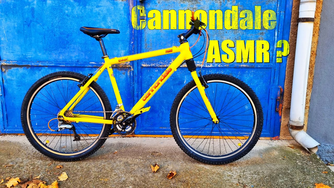 Classic Bike Cannondale F600 - Vintage MTB Bike Build I Restoration I Headshok (ASMR)