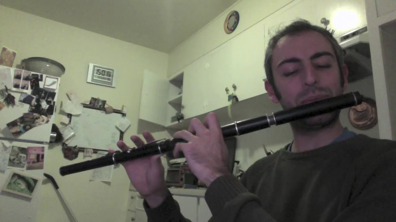 The Foxhunter's Reel - Irish Flute - slow/fast