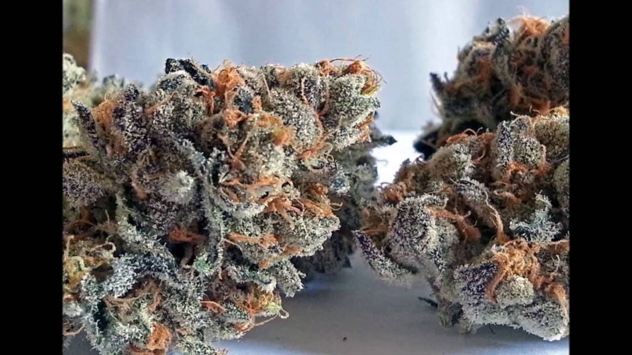 cannabis heaven