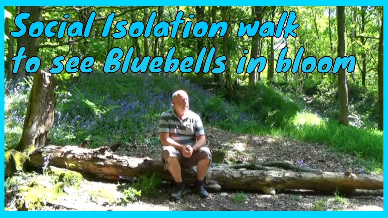 BEELEY WOODS Circular walk, OUGHTIBRIDGE
