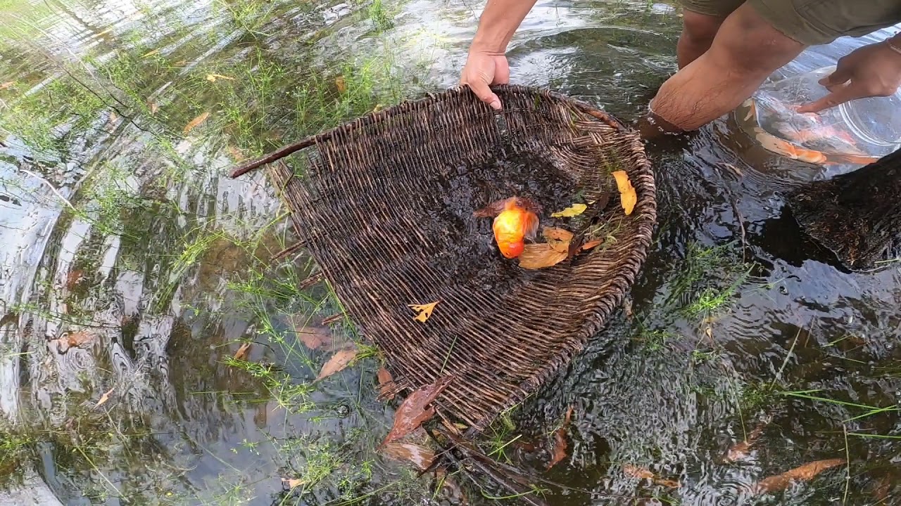 catch orenda red cap