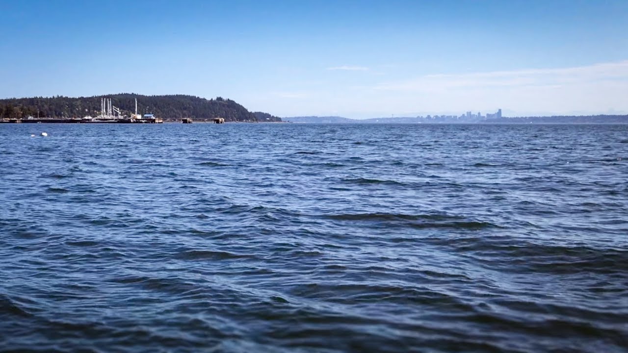 Magnet Fishing the Puget Sound