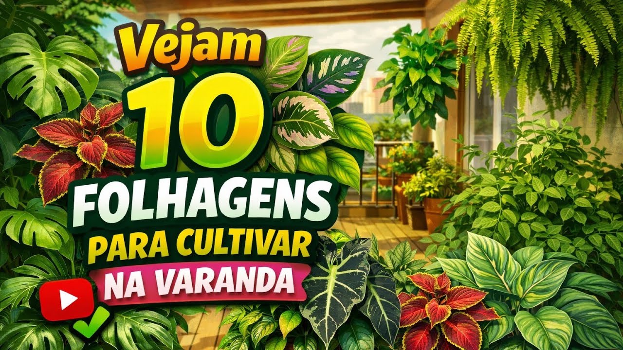 10 folhagem para cultivar na varanda 