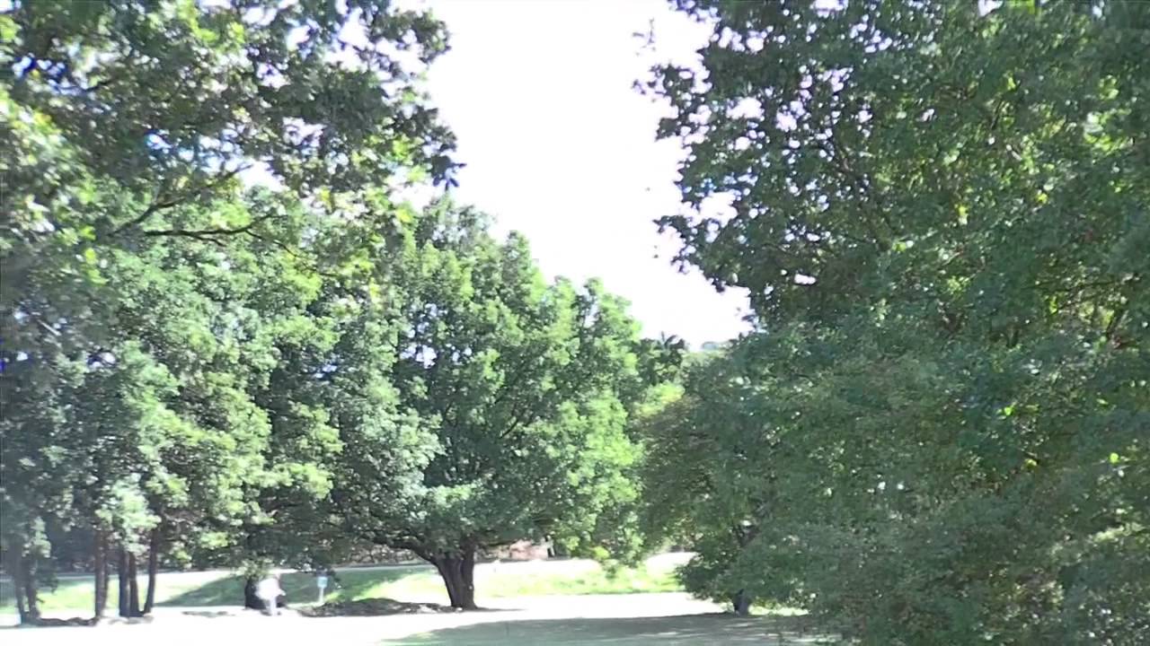 Démonstration au Swin Golf