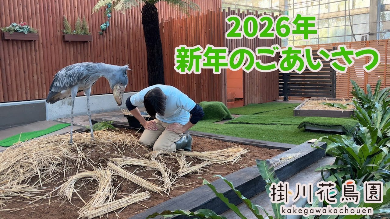 【掛川花鳥園公式】2026年　ふたばと共に新年のごあいさつ...