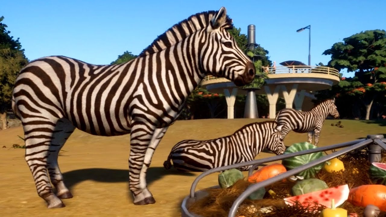 Planet Zoo - Plains Zebra - Open World Free Roam Gameplay (PC HD) [1080p60FPS]