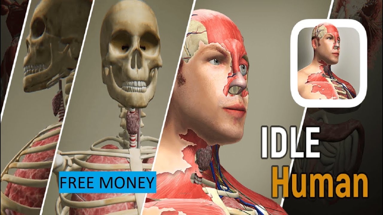 Guide MOD Free Money in Idle Human for IOS APK Phone (NEW 2023) 😲
