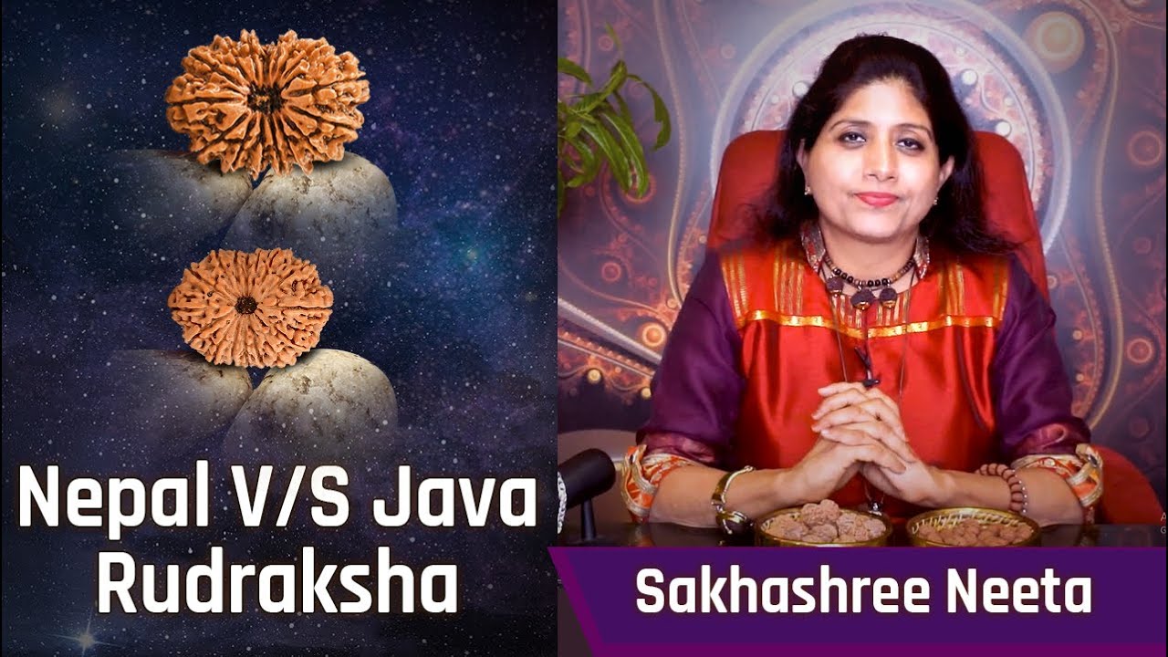 Types Of Rudraksha : Nepal & Java (Indonesia) Rudraksha | Difference Between Nepal & Java Rudraksha