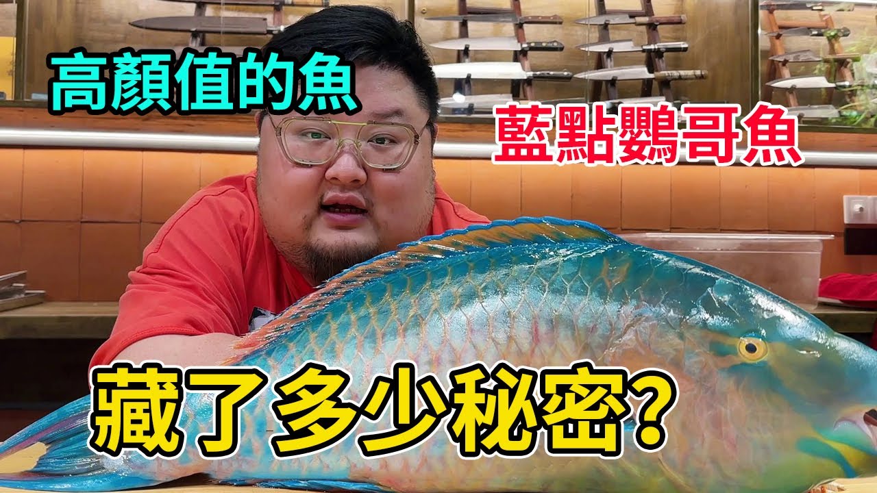 這條高顏值的魚，究竟藏了多少秘密？藍點鸚哥魚你吃過嗎？【Amoy硬邦幫】