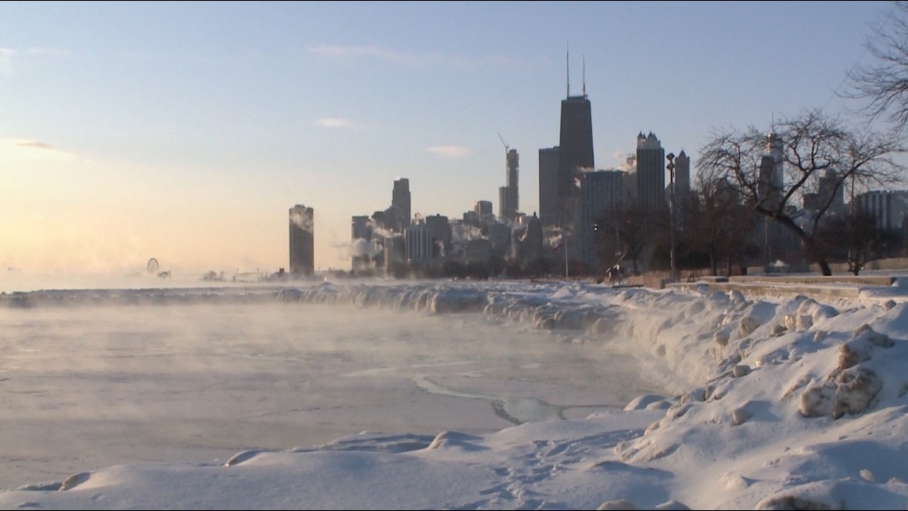 Chicago's 1990 Valentine's blizzard, T-Rex discovery, whale deaths | The Forecasters