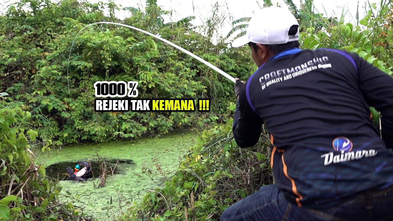 Percayalah!!! Benar² sarangnya ikan yang ditemukan pemancing ini #SG-306
