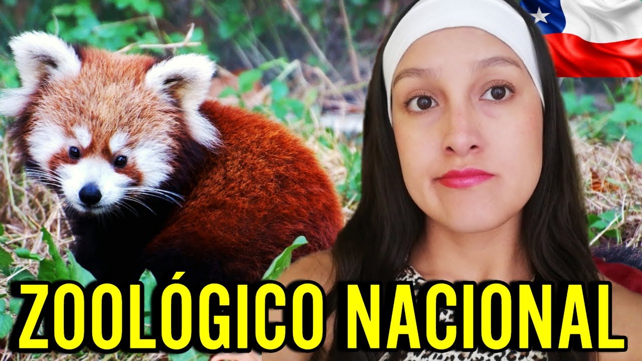 La REALIDAD del ZOOLÓGICO NACIONAL de SANTIAGO DE CHILE 🇨🇱 2024 | Mi sincera opinión