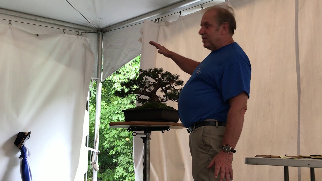 Critique by David Easterbrook (in french) of my Jack pine during the 2018 SBPM exhibition