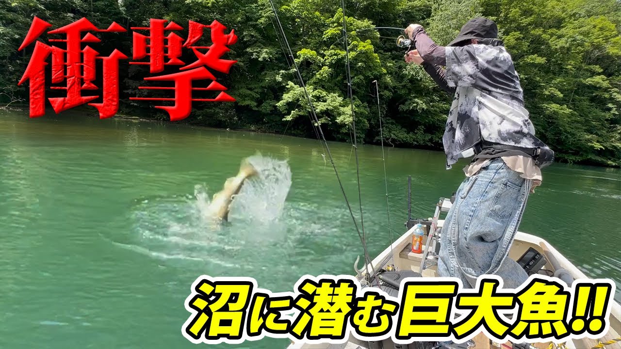 群馬の秘境！大尻沼を初調査したらヤバすぎた！【ネイティブトラウト・丸沼・エリアトラウト・管理釣り場・環湖荘】