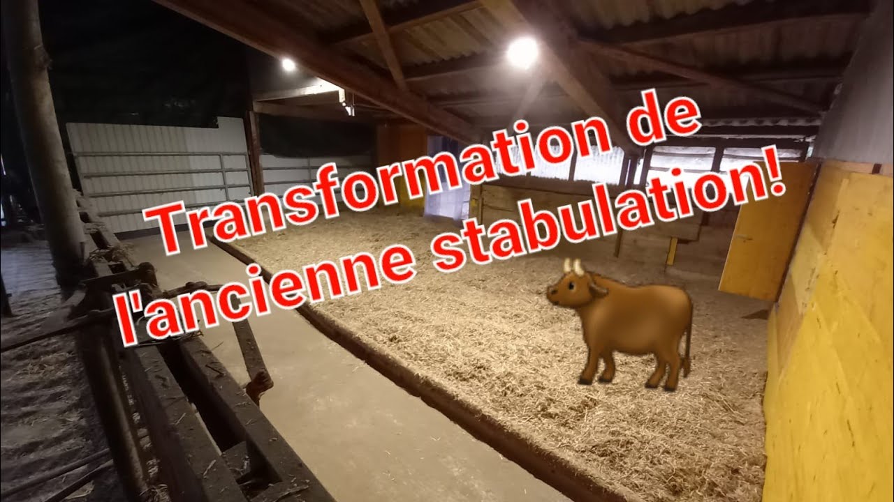 Transformation de la stabulation ! enfin!😅