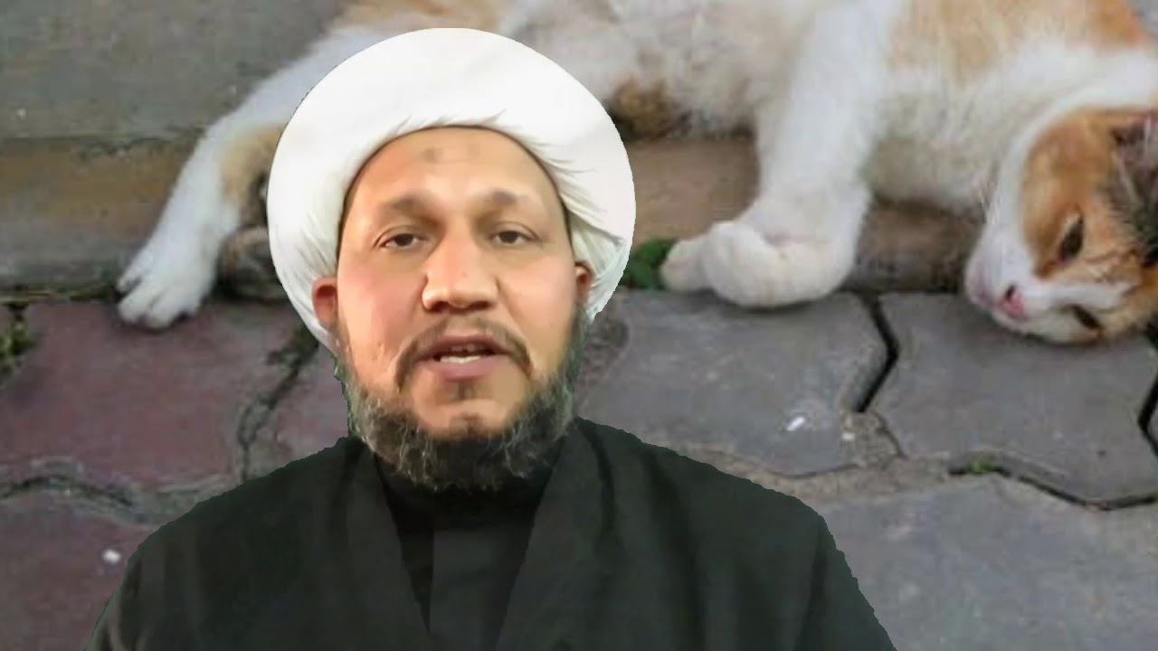 هل يجوز التخلص نهائيا من القطط والكلاب والحيوانات المؤذية