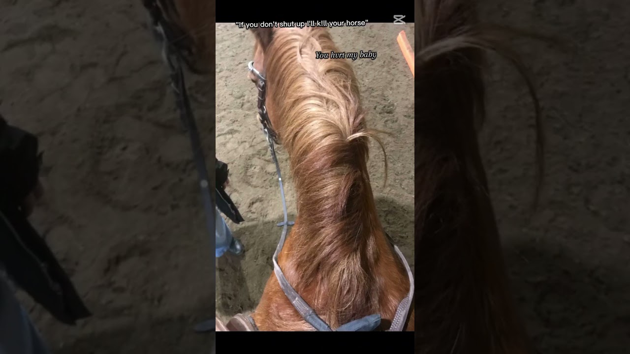 Du skulle ba v&aring;ga&hellip;#horse #ryttare #equestrian #h&auml;st&auml;lskare #h&auml;star4life
