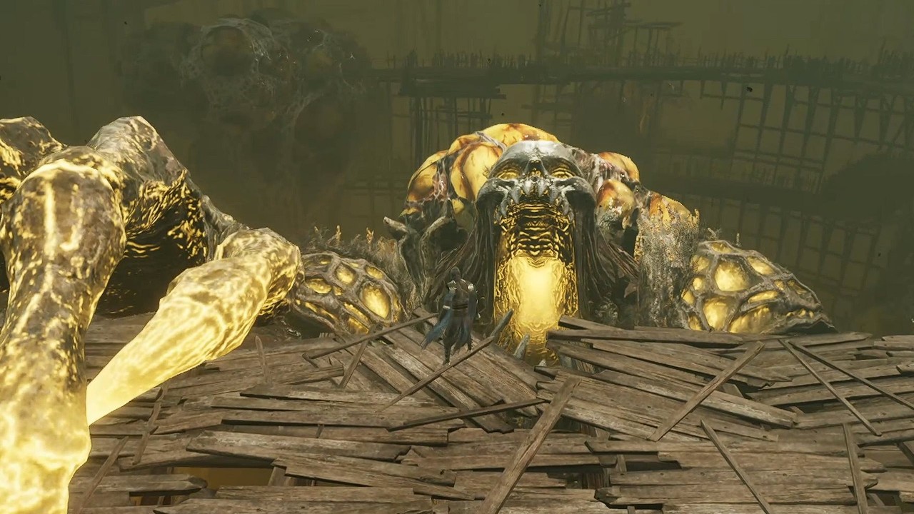 God of the Fools Boss Fight | Thymesia