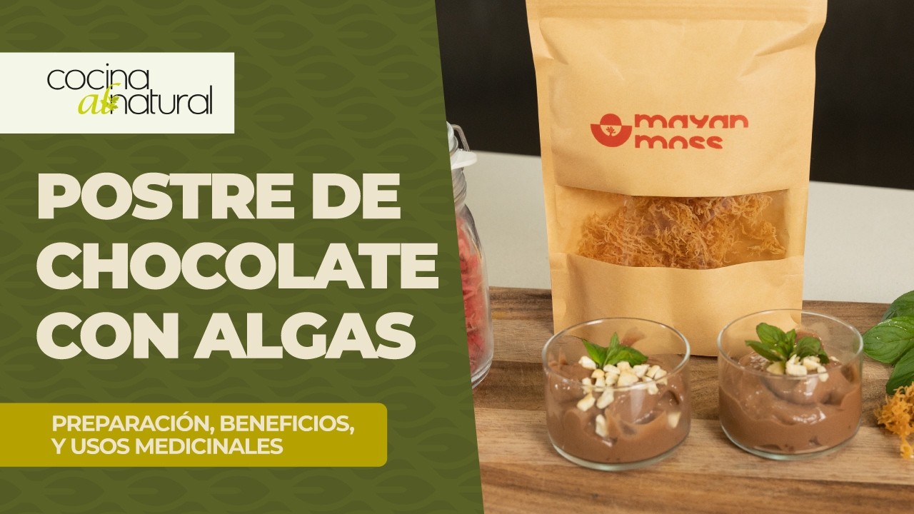 Helado de chocolate hecho en licuadora, sin leche y sin azúcar