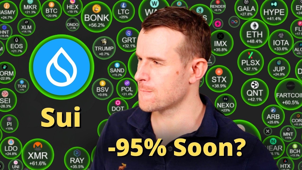 The Sui Crash 💀 Crypto Token Analysis