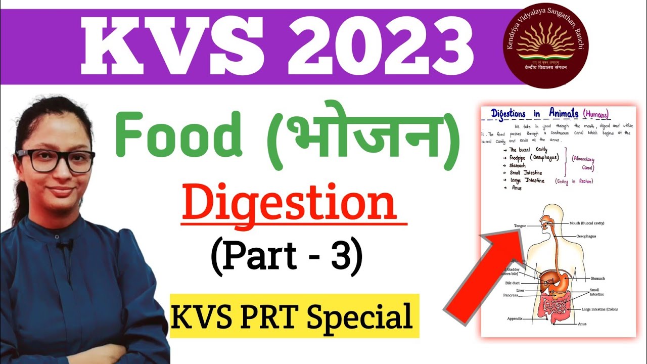 KVS PRT EVS | Food (Nutrition in Animal) | KVS PRT Syllabus 2023 | KVS PRT 2023 | KVS PRT Syllabus |