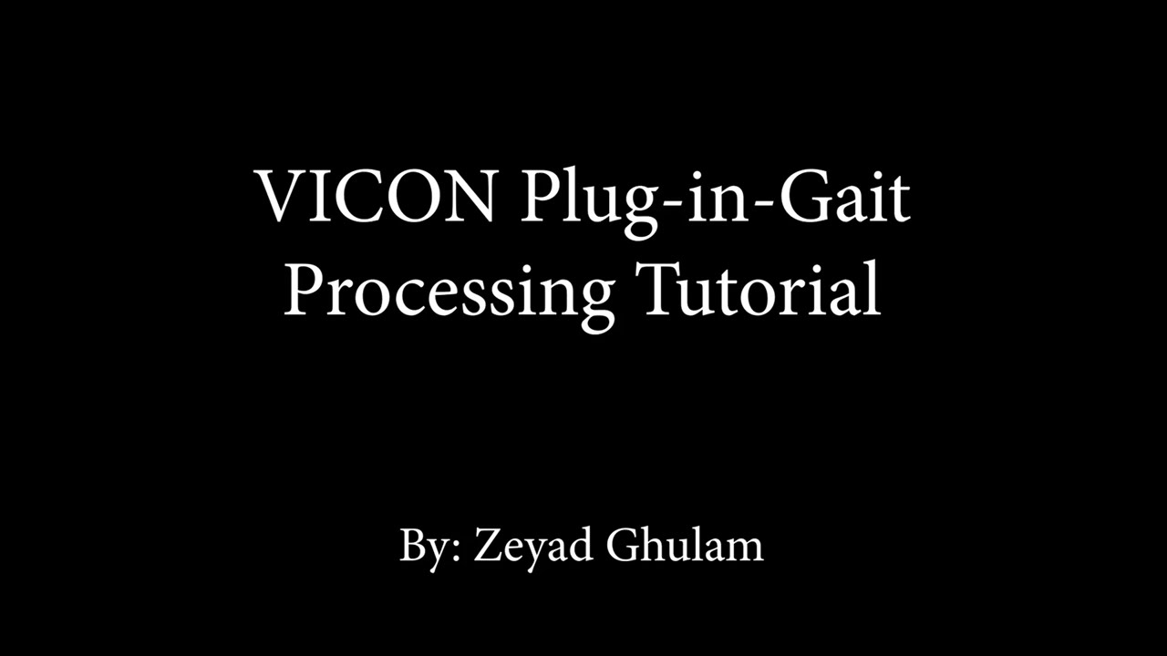 ENGG4400 VICON Plug in Gait Tutorial + Data Export
