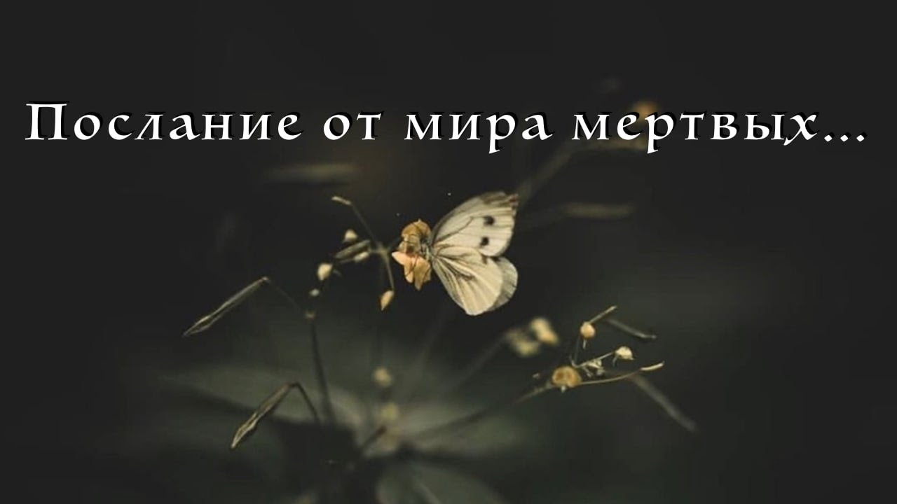 Таро. Послание от мира мертвых. Вас ждет мир прекрасного погружения.