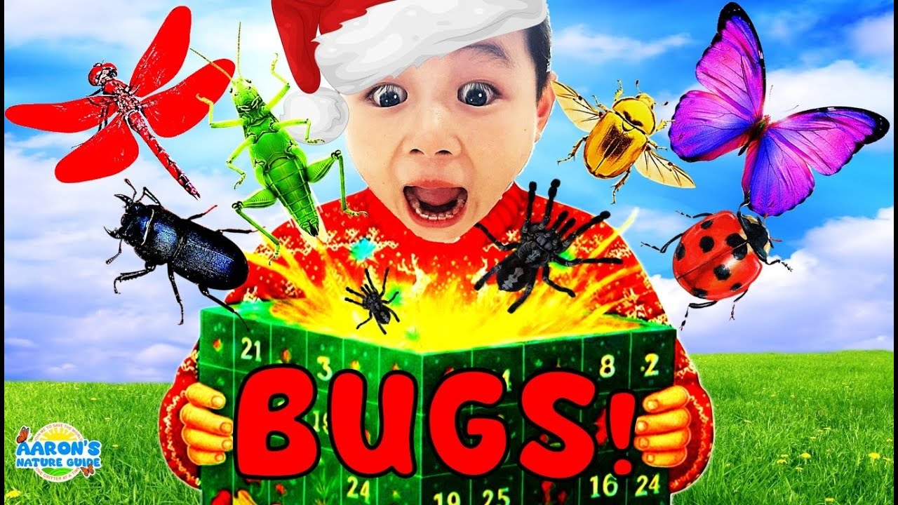 ДЕТИ!🐞🐛 Праздничный взрыв ЖУКОВ🎉Приключение в Адвент-календаре!🎄| Образовательное детское шоу о п...