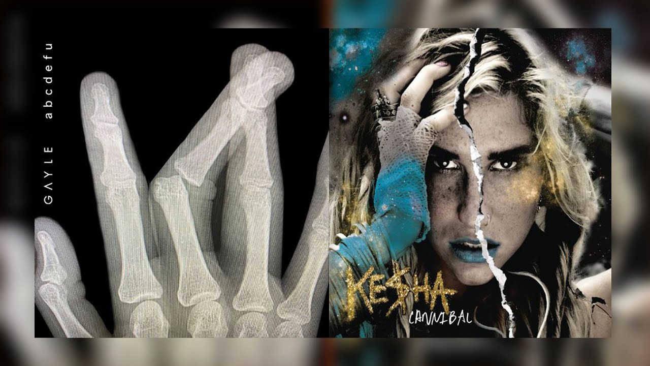 ABCDEFU / Cannibal Mashup of GAYLE & Kesha!