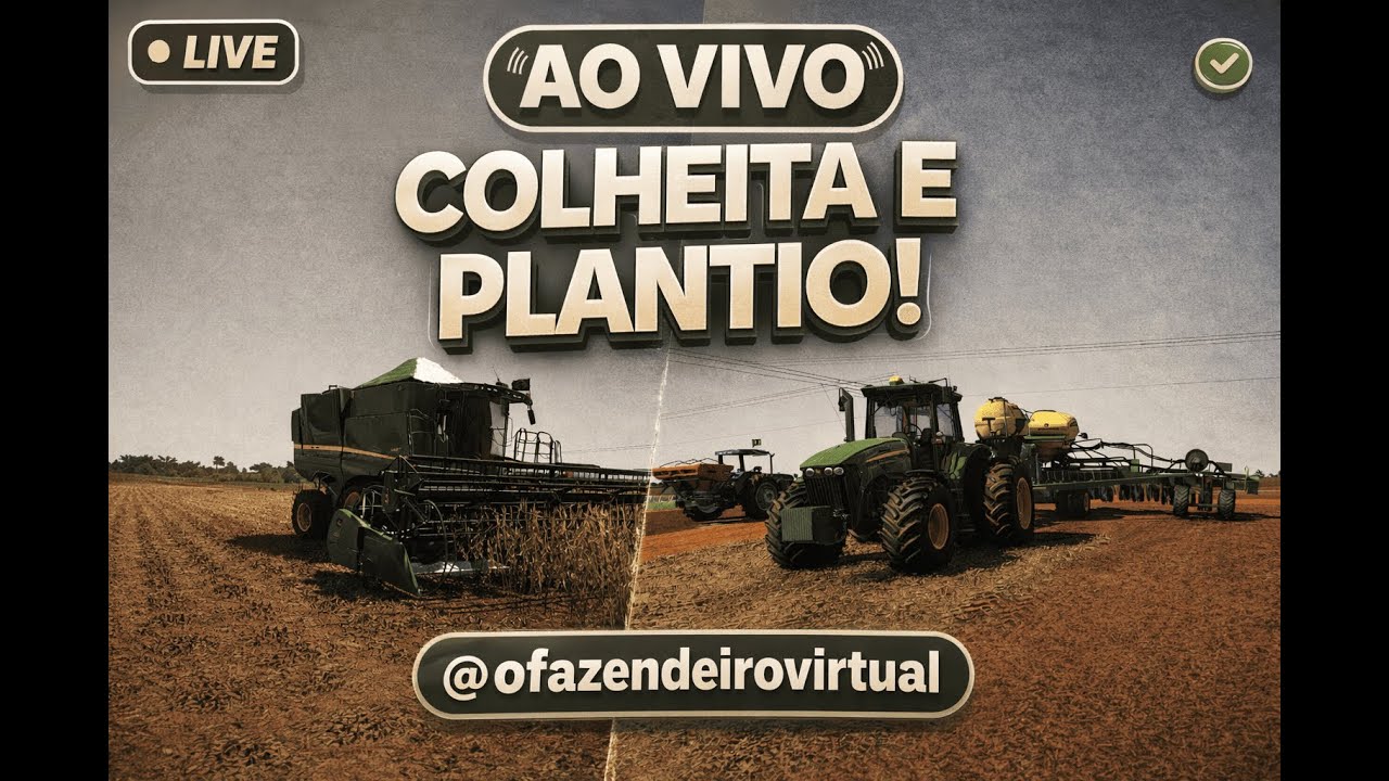 Colheita do Grão de Ouro e plantio do milho!!