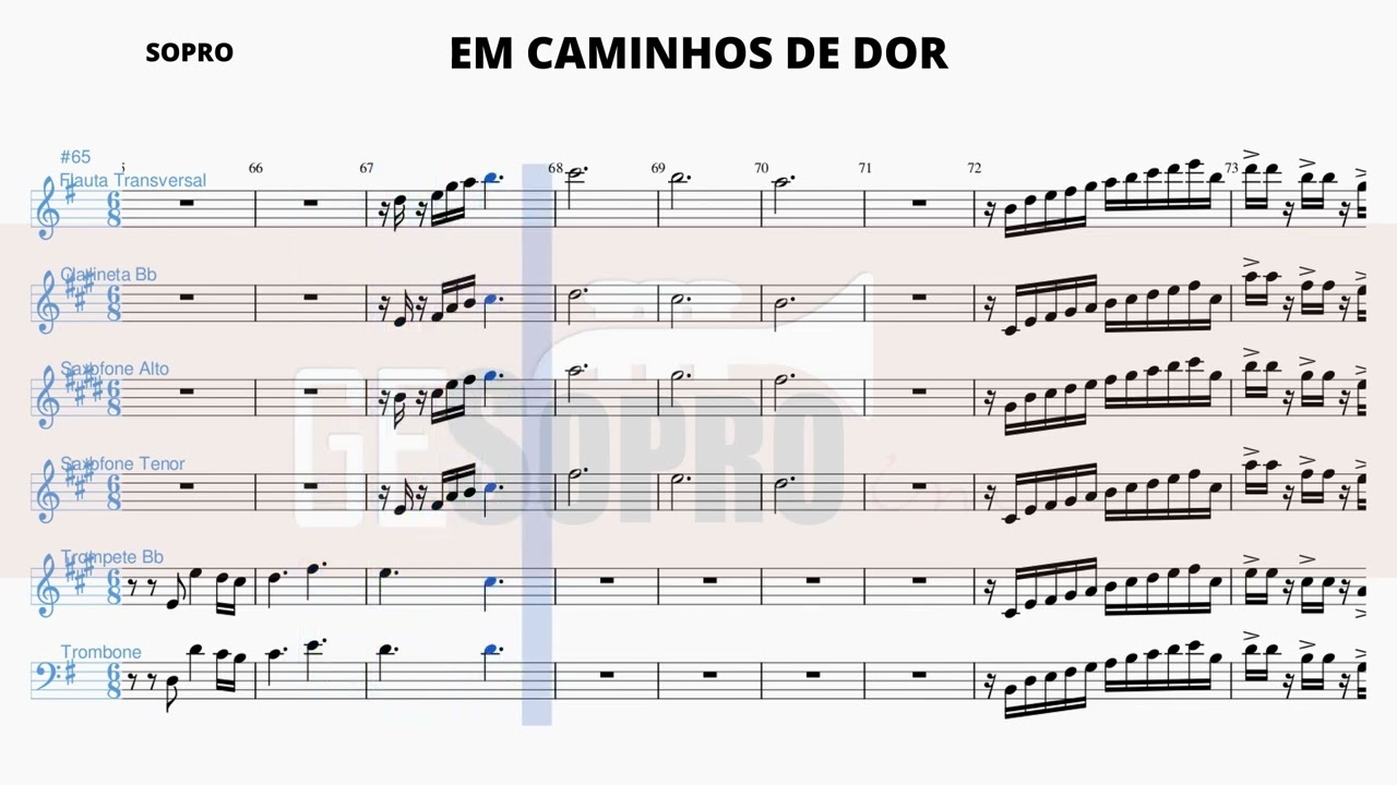 EM CAMINHOS DE DOR - partitura SOPRO