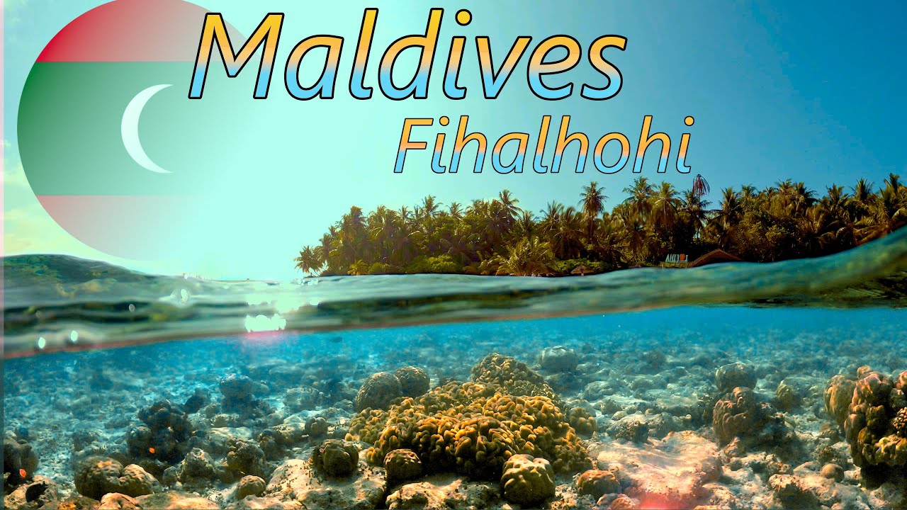 Maldives - Fihalhohi - January 2024