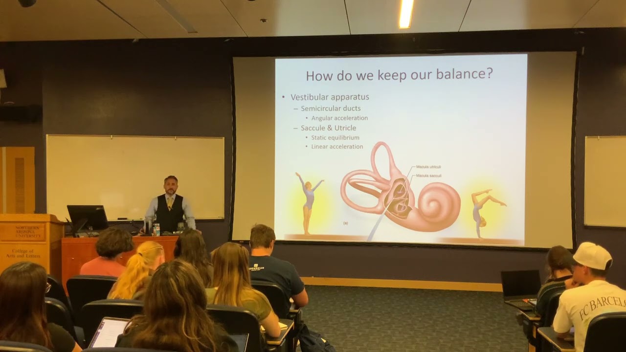 S25 A&P Special Senses 3of3