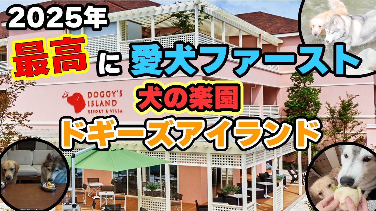 【知らなきゃ損】愛犬との旅行で「罪悪感」を感じている飼い主さんへ。ドギーズアイランドで価値観が180度変わりました。