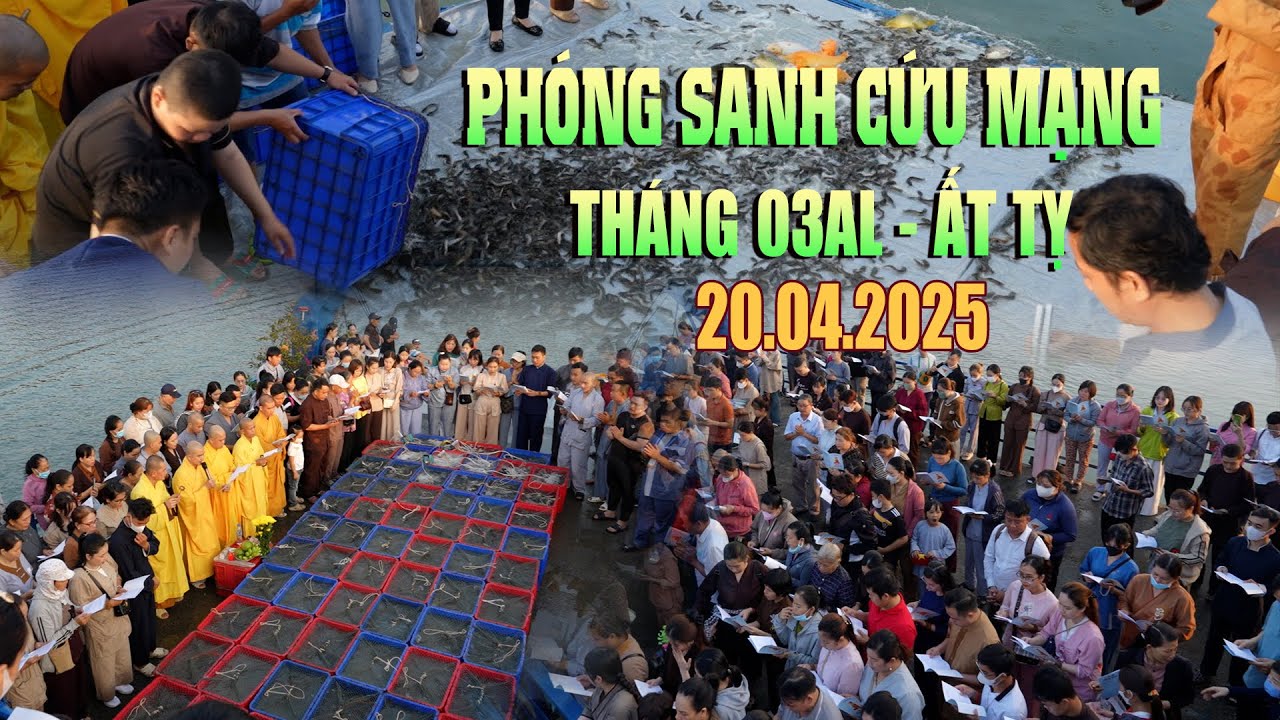 Phóng Sanh Hàng Tháng (03al) | Chùa Đức Hòa - Dĩ An - Bình Dương [21.04.2025]