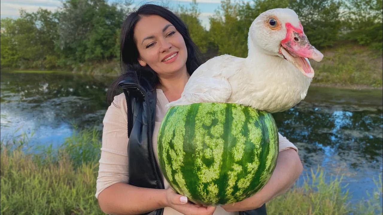Pato con frutas en sandía al horno tandoor ¡Una receta de cuento de hadas!
