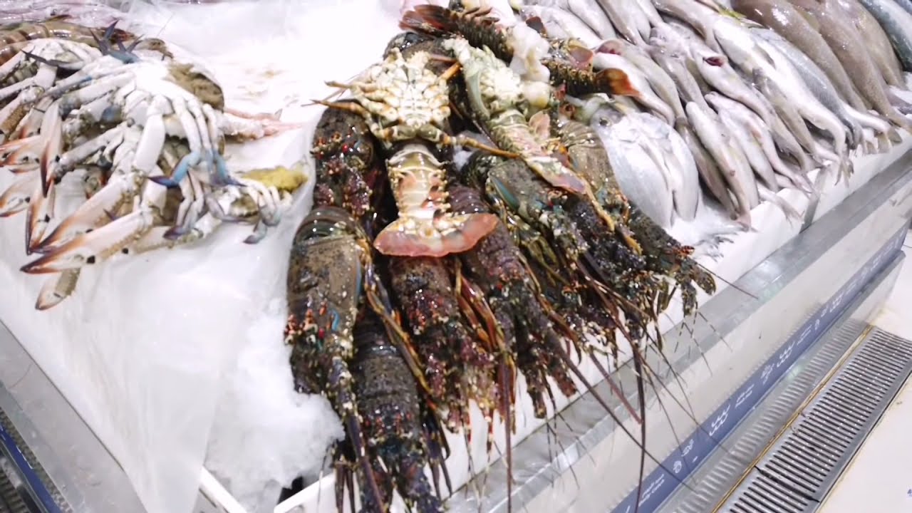 #2 Extraordinaire marché aux poissons de Deira  à Dubai aux Émirats Arabes Unis @soffrirlemonde220