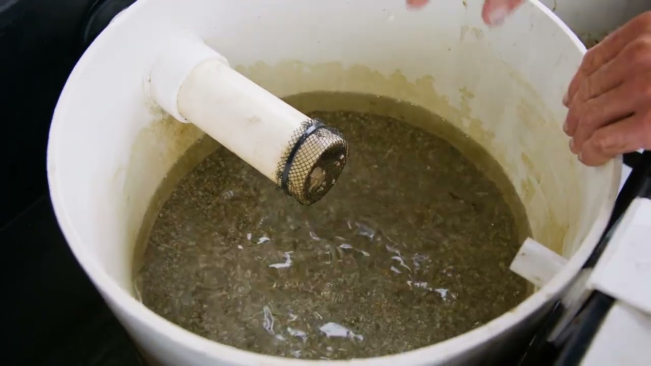 Upwellers and Downwellers - Working with Hatchery Spat | NSW Farmers