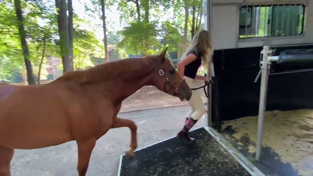 How to Safely Load & Unload Your Horse