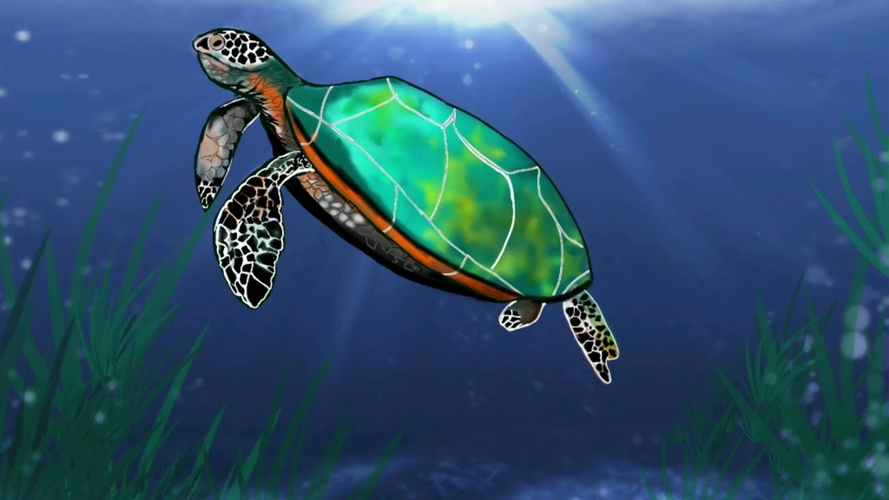 Realistic Sea Turtle | Time-lapse | Digital Art |