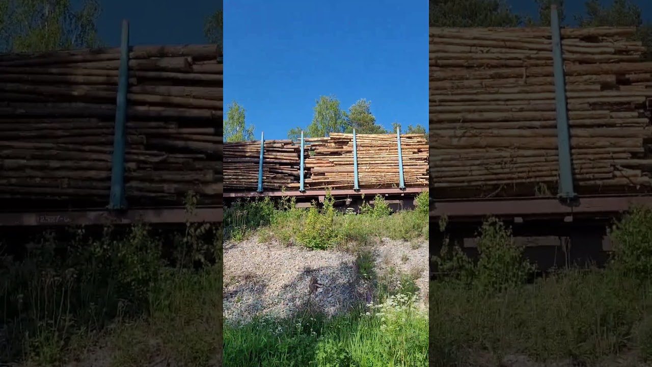 #timber