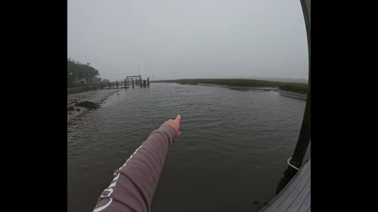 Check this one out! Dolphin took over my spot. 
