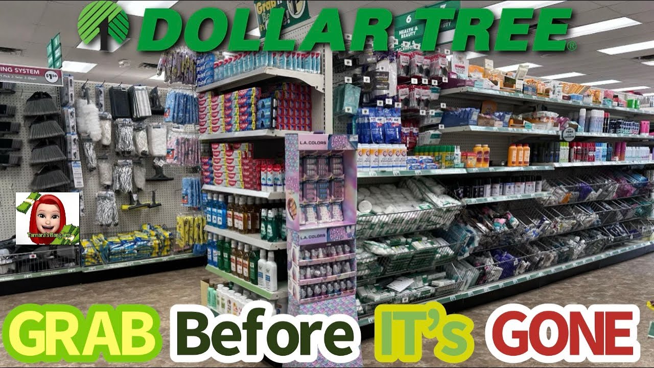 🚨HURRY TO DOLLAR TREE BEFORE THEY’RE GONE‼️ #dollartree #shopping #new 