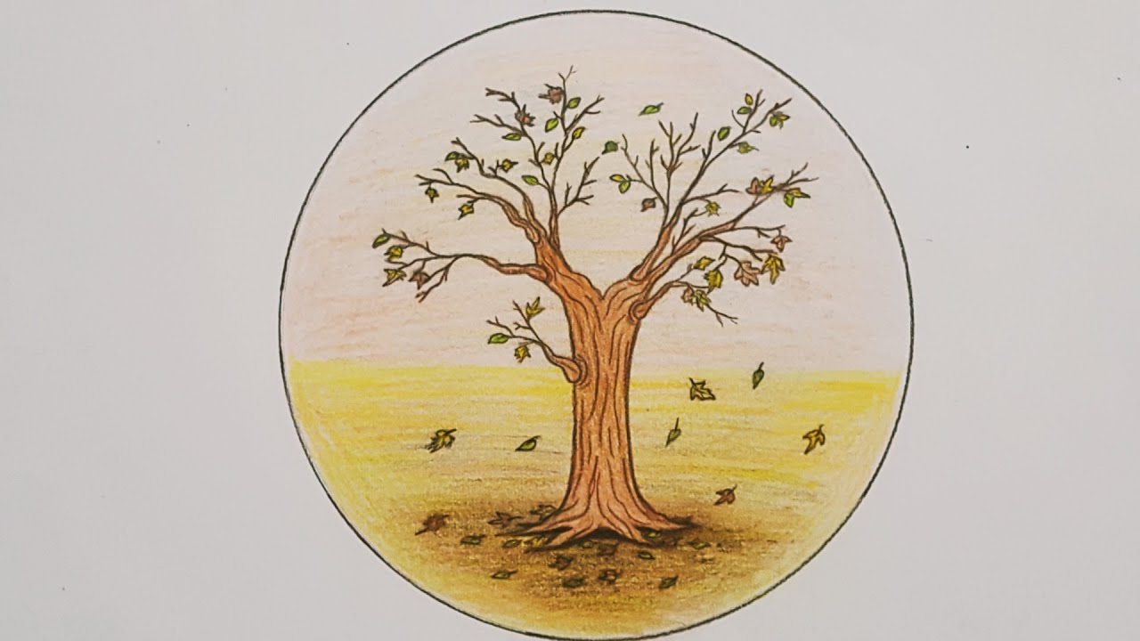 رسم شجرة الخريف  في دائرة🍁🌳