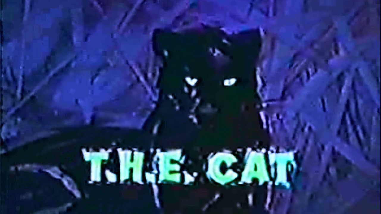 Classic TV Theme: T.H.E. Cat (Lalo Schifrin)