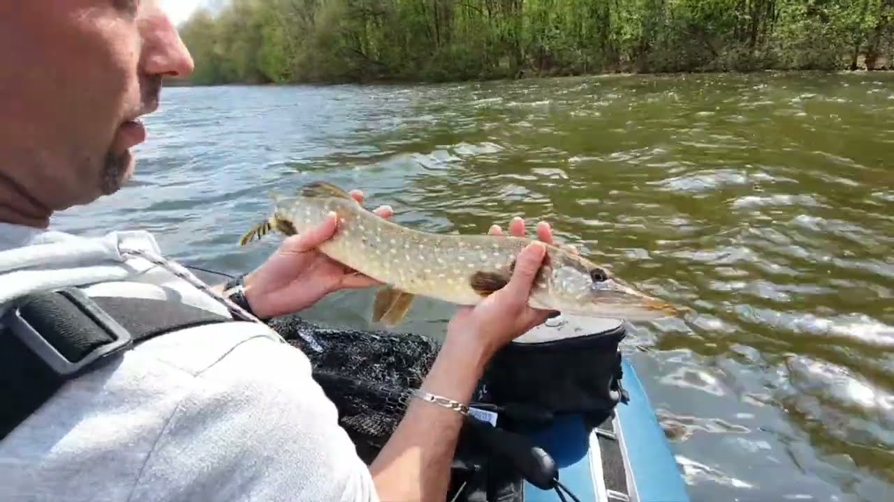 Ouverture carnassiers 2022 / premiers pas en Float tube. Lac des vieilles forges pêcheurs flotteurs