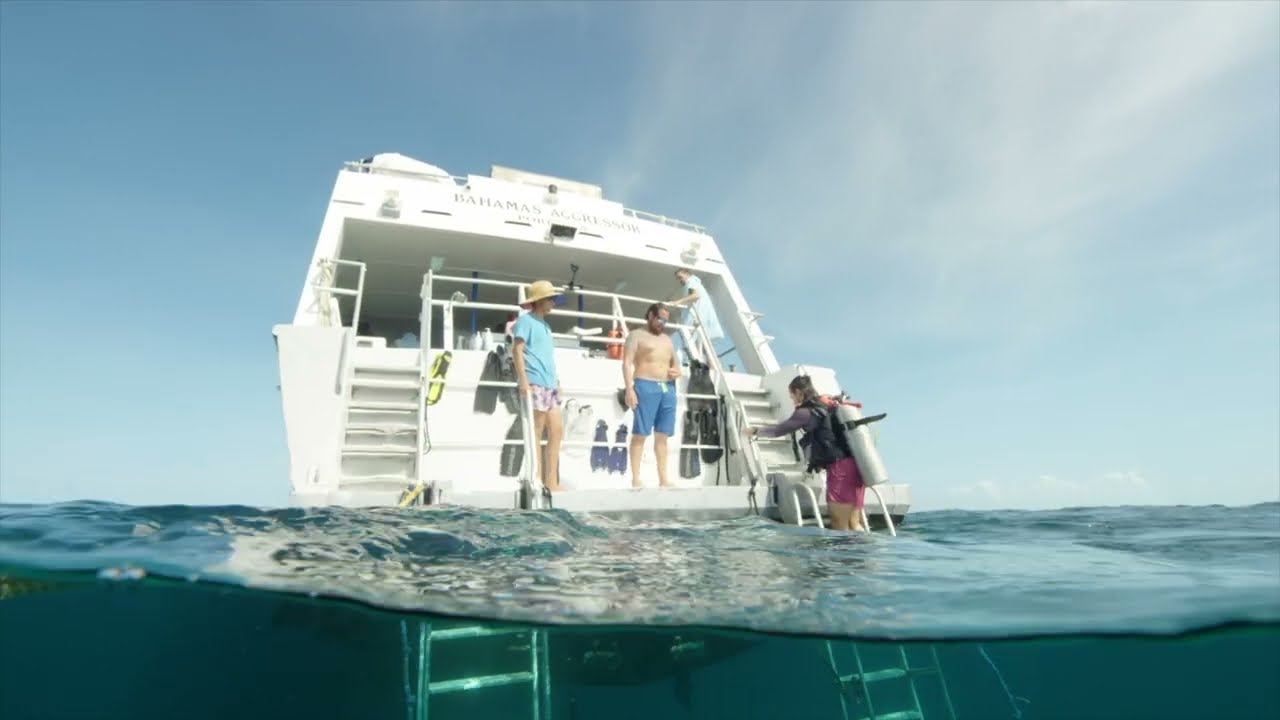 This is Bahamas