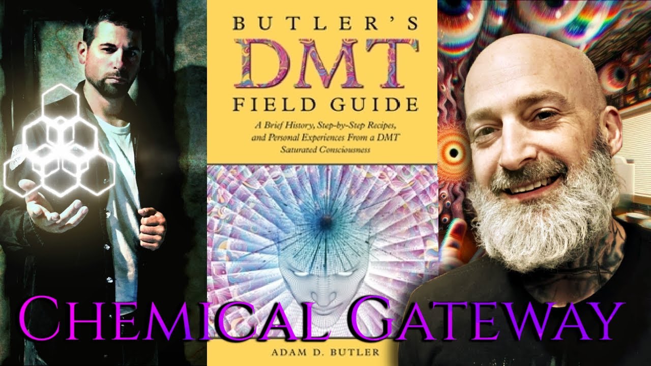 Entities Within: DMT chat with Adam Butler