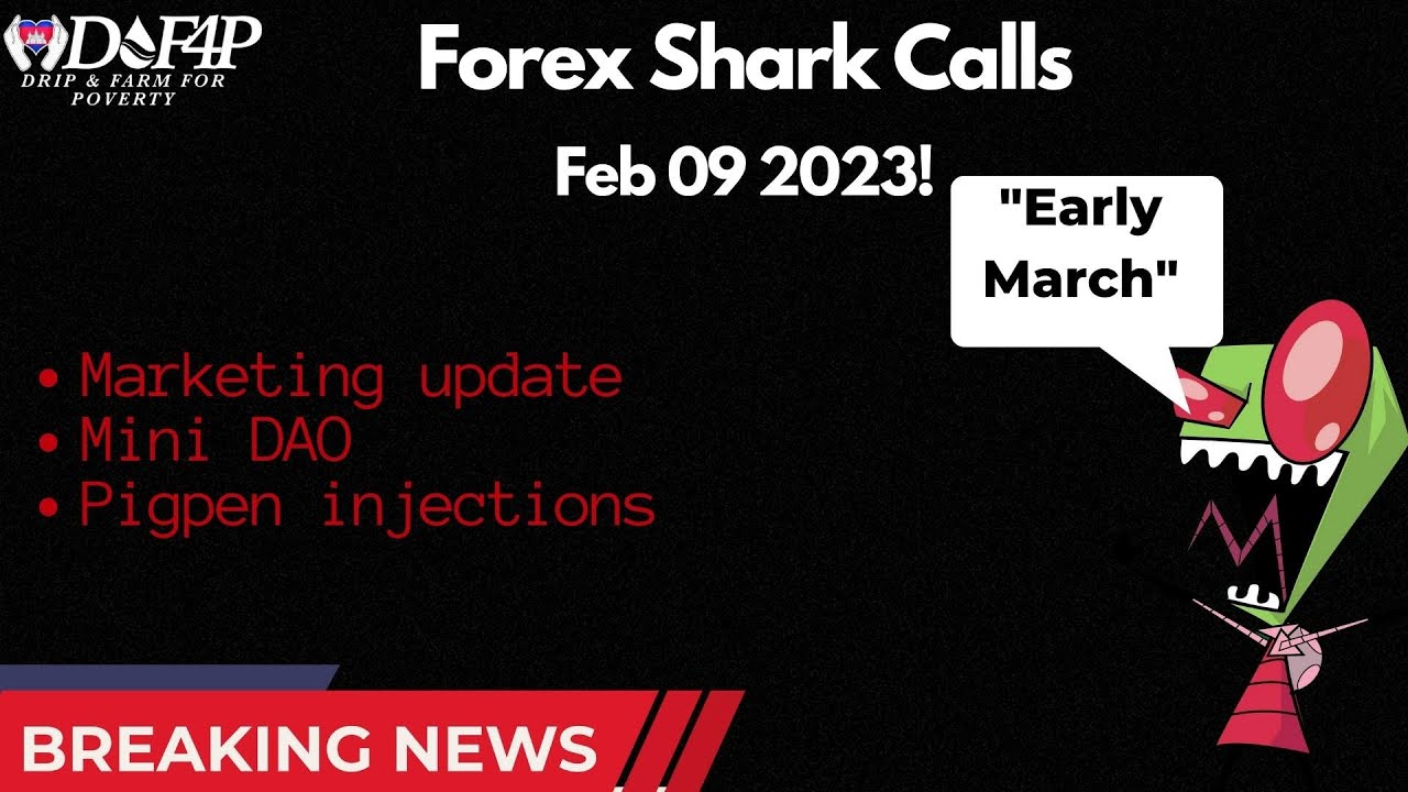 Drip Network Forex AMA 9 feb 2023 latest updates